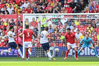 Harry Kane #10 of Tottenham Hotspur scores to make it 0-1 and marks his 200th career goal 