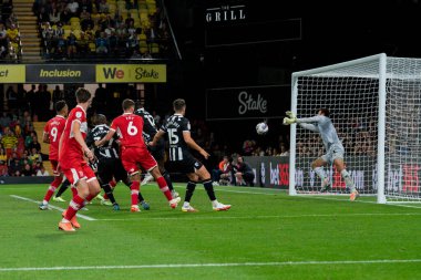 Daniel Bachmann #1 of Watford makes a fine save