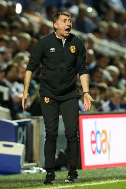 Shota Arveladze manager of Hull City gets animated