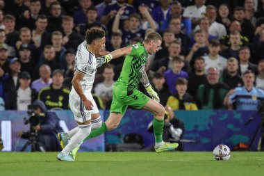 Rodrigo Moreno #19 of Leeds United pulls up after injuring his shoulder after a clash with Jordan Pickford #1 of Everton during the Premier League match Leeds United vs Everton at Elland Road in Leeds, UK, 30th August 2022