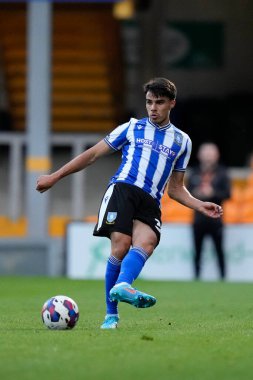 Reece James #33 of Sheffield Wednesday