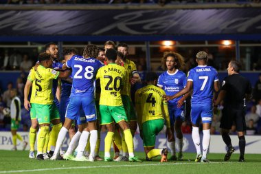 Tempers flare during the game Birmingham City vs Norwich City