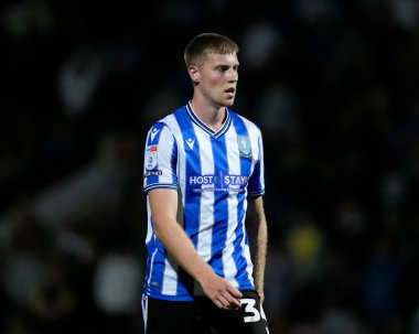 Mark McGuinness #34 of Sheffield Wednesday