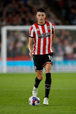 Anel Ahmedhodzic #15 of Sheffield United during the Sky Bet Championship match Sheffield United vs Reading at Bramall Lane, Sheffield, UK, 30th August 2022