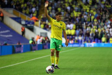 Marcelino Nunez #26 of Norwich City prepares to take a free kick