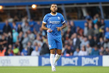 Troy Deeney #8 of Birmingham City