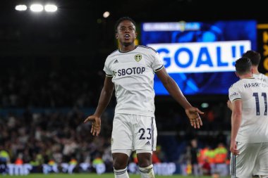 Luis Sinisterra #23 of Leeds United  celebrates his goal and makes the score 1-1 during the second half 