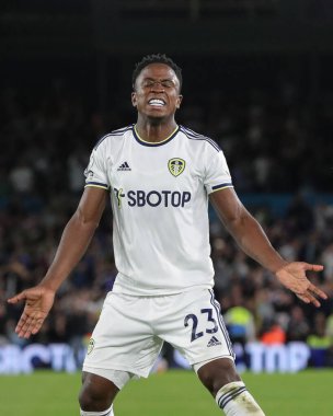 Luis Sinisterra #23 of Leeds United  celebrates his goal and makes the score 1-1 during the second half 