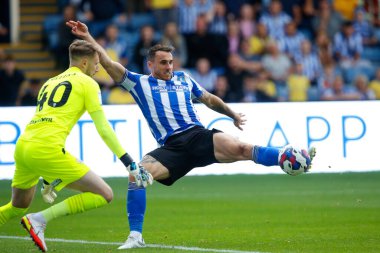 Lee Gregory #9 of Sheffield Wednesday attempts a shot on goal during the Sky Bet League 1 match Sheffield Wednesday vs Barnsley at Hillsborough, Sheffield, United Kingdom, 3rd September 202