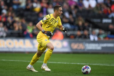 Steven Benda #13 of Swansea City in action during the game during the Sky Bet Championship match Swansea City vs Queens Park Rangers at Swansea.com Stadium, Swansea, United Kingdom, 3rd September 202