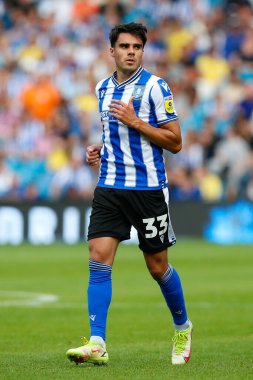 Reece James #33 of Sheffield Wednesday during the Sky Bet League 1 match Sheffield Wednesday vs Barnsley at Hillsborough, Sheffield, United Kingdom, 3rd September 202