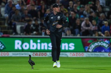 A bird on the pitch during the game during the The Hundred Mens Final Trent Rockets v Manchester Originals at Trent Bridge, Nottingham, United Kingdom, 3rd September 202