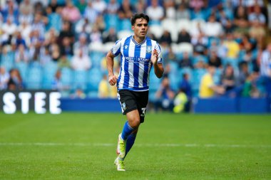 Reece James #33 of Sheffield Wednesday during the Sky Bet League 1 match Sheffield Wednesday vs Barnsley at Hillsborough, Sheffield, United Kingdom, 3rd September 202