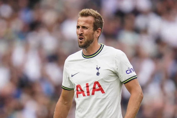 Harry Kane Tottenham Hotspur Reacts Taking Knock Premier League Match — Stok Foto