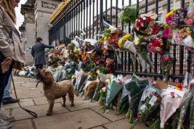 Yas tutanlar, Majesteleri Kraliçe 'nin 9 Eylül 202' de Buckingham Sarayı, Londra 'da vefat etmesinden sonra saygılarını sunarlar.