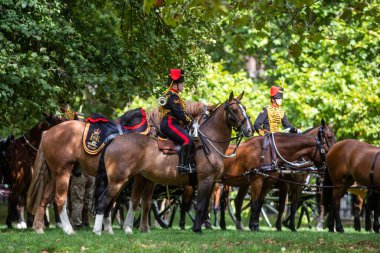 Majesteleri Kraliçe Hyde Park Sarayı onuruna Kings Troop Kraliyet Atı Topçu Birliği tarafından Hyde Park 'a 96 el ateş edildi.