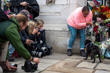 Majesteleri Kraliçe 'nin 9 Eylül 202' de Buckingham Sarayı, Londra 'da ölmesinin ardından bir pug fotoğraf çektirdi.