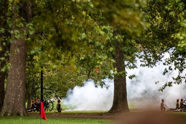 View Royal Gun Salute Passing Her Majesty Queen Buckingham Palace — Stock Photo, Image