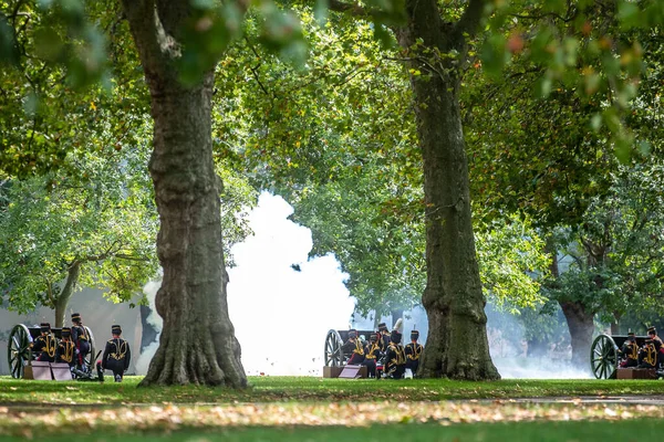 Näkymä Royal Gun Salute Jälkeen Kulkee Hänen Majesteettinsa Queen Hyde — kuvapankkivalokuva