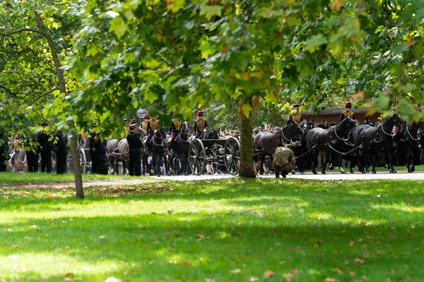 Kings Troop Royal Horse Tykistö Syöttää Hyde Park Aseen Tervehdys — kuvapankkivalokuva