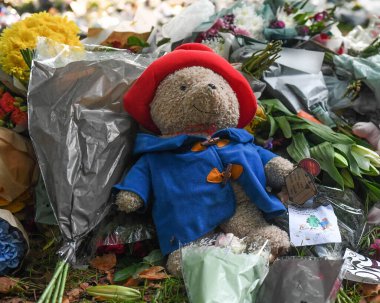 Yeşil Par 'da Paddington Ayı Övgüsü