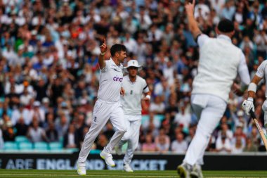 İngiliz James Anderson, Güney Afrikalı Sarel Erwee 'nin 10 Eylül 202' de The Kia Oval, Londra, Birleşik Krallık 'ta 5 İngiltere' nin 3 'üncü LV Sigorta Testi' nde görevden alınmasını kutluyor.