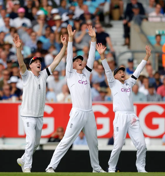 Inghilterra Harry Brook Zak Crawley Joe Root Appello Lbw Durante — Foto Stock