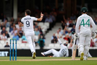 İngiliz James Anderson, 11 Eylül 202 'de Kia Oval, Londra, İngiltere' ye karşı yapılan LV Sigorta Deneme karşılaşmasında Güney Afrikalı Keegan Petersen 'i görevden aldıktan sonra kutluyor.
