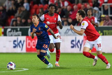 Blackpool 'dan Ian Poveda 14 Eylül 202' de İngiltere 'nin Rotherham Stadyumu' nda oynanan Sky Bet Şampiyonası maçında topla bir çıkış yaptı.