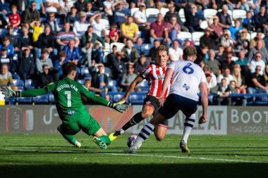 Sheffield United 'dan Sander Berge # 8' e 17 Eylül 202 'de Preston North End ile Sheffield United arasındaki Sky Bet Şampiyonası' nda Freddie Woodman # 1 'e meydan okudu.