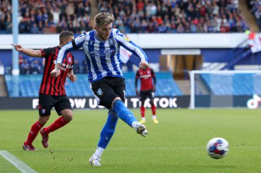 Sheffield Wednesday 11 numaralı Josh Windass, 17 Eylül 202 'de Sheffield Çarşamba günü Hillsborough, Sheffield, İngiltere' de Ipswich Town 'a karşı oynanan Sky Bet 1 maçında şutunu attı.