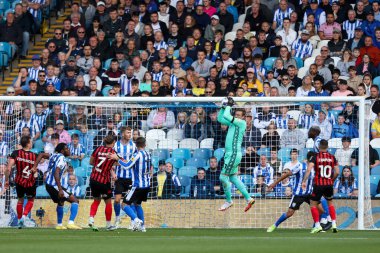 Sheffield Wednesday 'den David Stockdale topu 17 Eylül 202' de Hillsborough, Sheffield, İngiltere 'de oynanan Sheffield Wednesday-Ipswich Town maçında yakalıyor.