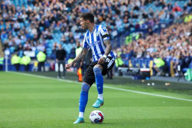 Sheffield Wednesday 'den Marvin Johnson # 18. 17 Eylül 202 'de İngiltere' nin başkenti Sheffield 'da oynanan ve Ipswich Town' a karşı oynanan Gökyüzü İddia Ligi 1 karşılaşmasında