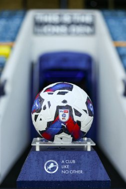 The Den, Londra, İngiltere 'de 17 Eylül 202' de oynanan Sky Bet Şampiyonası maçından önce görülen EFL Puma futbolu Millwall 'a karşı Blackpool maçında