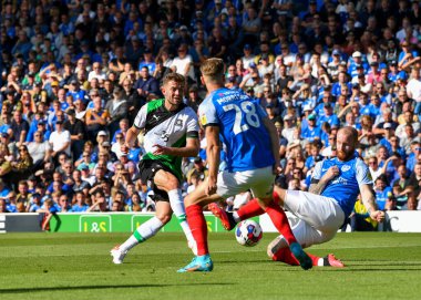 Plymouth Argyle orta saha oyuncusu Matt Butcher (7), Portsmouth defans oyuncusu Michael Morrison (28) ile Portsmouth - Plymouth Argyle maçında Portsmouth, Portsmouth, İngiltere 'de karşılaştı.