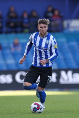 Sheffield Wednesday 'den Josh Windass 17 Eylül 202' de Hillsborough, Sheffield, İngiltere 'de Çarşamba günü Sheffield-Ipswich Town maçında topu sürüyor.