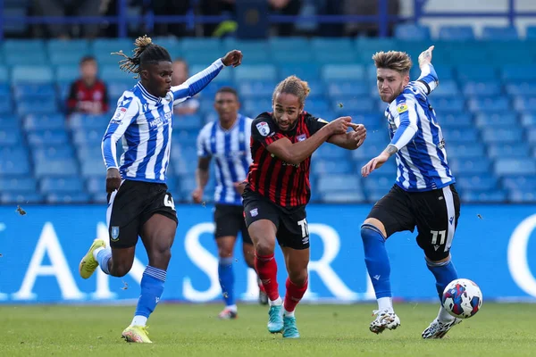 Josh Windass Sheffield Wednesday Alex Mighten Sheffield Wednesday Persiguen Pelota —  Fotos de Stock