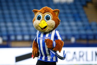 Sheffield Wednesday maskotu Ozzy Owl Papa John 's Trophy maçı sırasında Sheffield Wednesday' a karşı Hillsborough, Sheffield, Birleşik Krallık 'ta Burton Albion, 20 Eylül 202