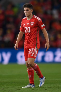 Galler 'den Dan James, UEFA Uluslar Ligi Grubu A4 karşılaşmasında Cardiff City Stadyumu' nda Galler ile Polonya arasında 25 Eylül 202 'de oynanan karşılaşmada