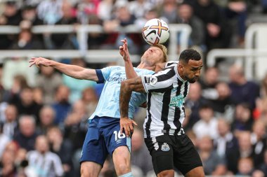 Ben Mee # 16 Brentford ve Callum Wilson # 9 Newcastle United Premier Lig karşılaşmasında Newcastle United Brentford 'a karşı 8 Ekim 202' de St. James 's Park, Newcastle, İngiltere