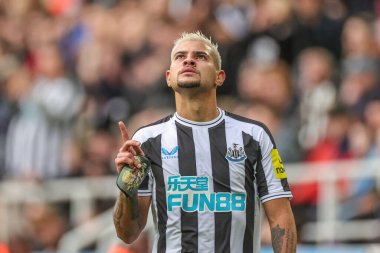 Newcastle United 'ın 39 numaralı Bruno Guimares Premier League maçı sırasında Newcastle United' ın Brentford 'a karşı St. James' s Park, Newcastle, İngiltere 'de 8 Ekim 2022' de oynadığı karşılaşmada cenneti gösteriyor.