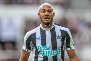 Newcastle United 'dan Joelinton # 7 Premier Lig maçı sırasında Newcastle United ile Brentford arasındaki St.James' s Park, Newcastle, İngiltere, 8 Ekim 202