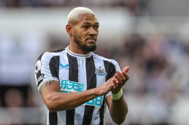 Newcastle United 'dan Joelinton # 7 Premier Lig maçı sırasında Newcastle United ile Brentford arasındaki St.James' s Park, Newcastle, İngiltere, 8 Ekim 202