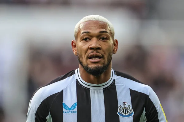 Joelinton Newcastle United Premier League Match Newcastle United Brentford James — Stockfoto