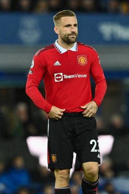 Premier Lig maçında Manchester United ile Goodison Park, Liverpool, İngiltere 'de oynanan Everton maçında 23.