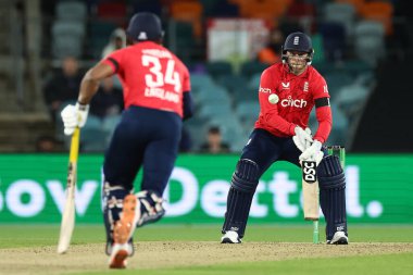 İngiltere 'den David Willey, 12 Ekim 202' de Avustralya 'nın Manuka Oval, Canberra, Avustralya' da oynanan 3 maçtan 2 'si olan Dettol T20I Serisi' nde görüldü.