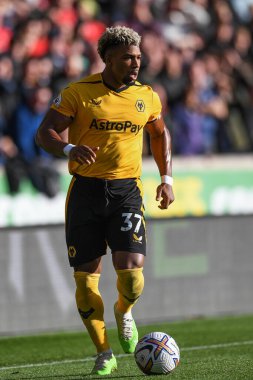 Wolverhampton Wanderers maçında Wolverhampton Wanderers, Nottingham Ormanı 'na karşı 15 Ekim 2022' de Molineux, Wolverhampton, Birleşik Krallık 'ta oynanan