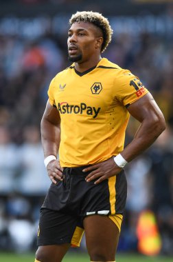 Wolverhampton Wanderers maçında Wolverhampton Wanderers, Nottingham Ormanı 'na karşı 15 Ekim 2022' de Molineux, Wolverhampton, Birleşik Krallık 'ta oynanan
