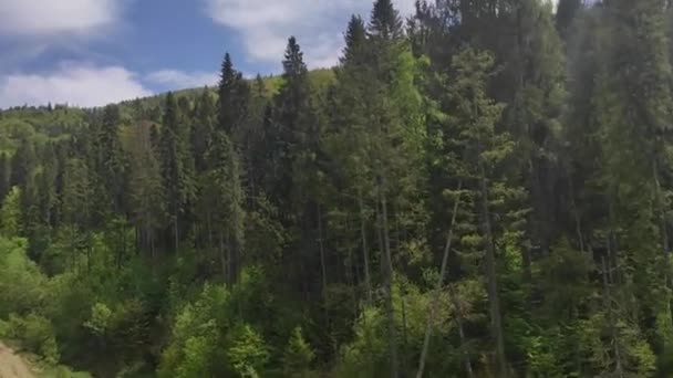 Travel Video Carpathians Ukraine 2022 Spring Summer — 图库视频影像