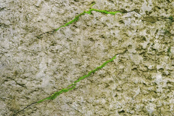 Natural Brown Boulder Stone Surface Texture — Stockfoto